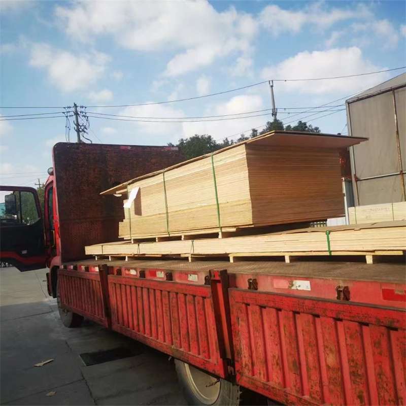蚌埠市海城市物流：多元运输服务与线路探秘