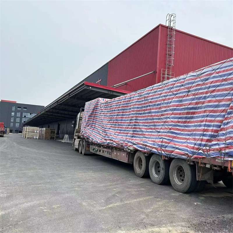 蚌埠市墨脱县：物流专线的多元货运服务